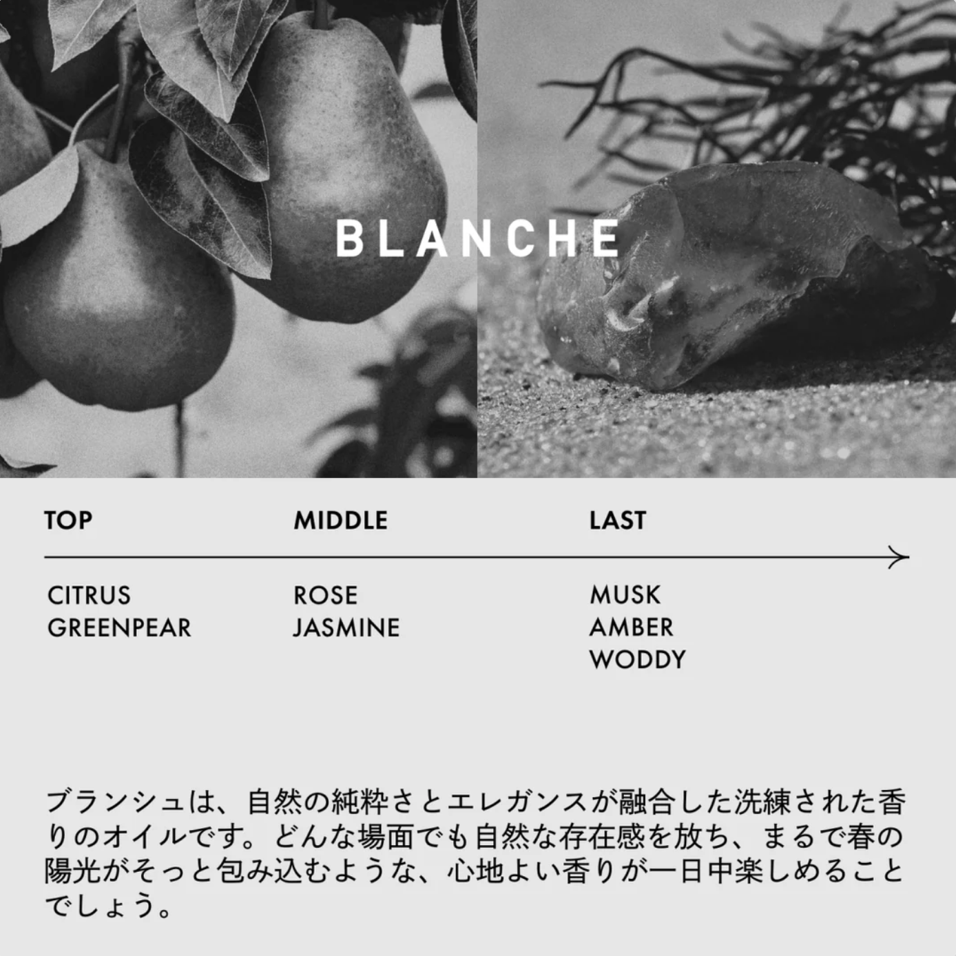 【LOA THE OIL（ロア ザ オイル）】BLANCHE